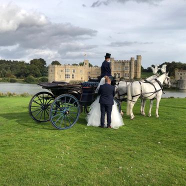 Horse drawn carriage hire