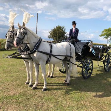 Wedding Carriage Hire